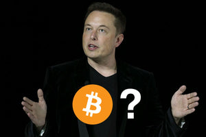 Elon Musk Reveals Personal Crypto Holdings